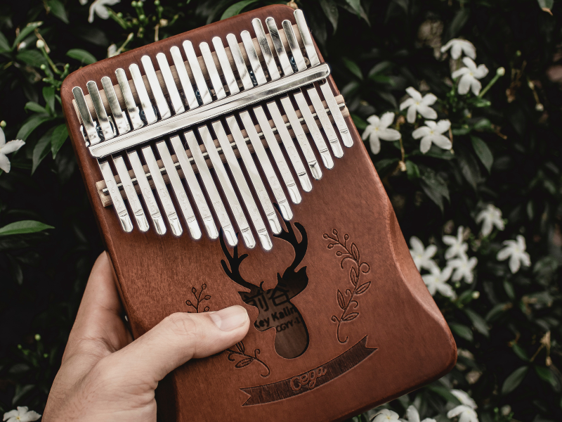 10 Best Kalimba To Buy In 2023