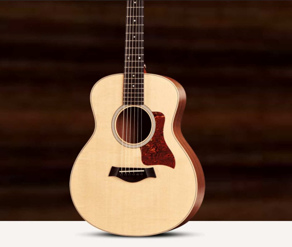 Test de la Taylor GS Mini